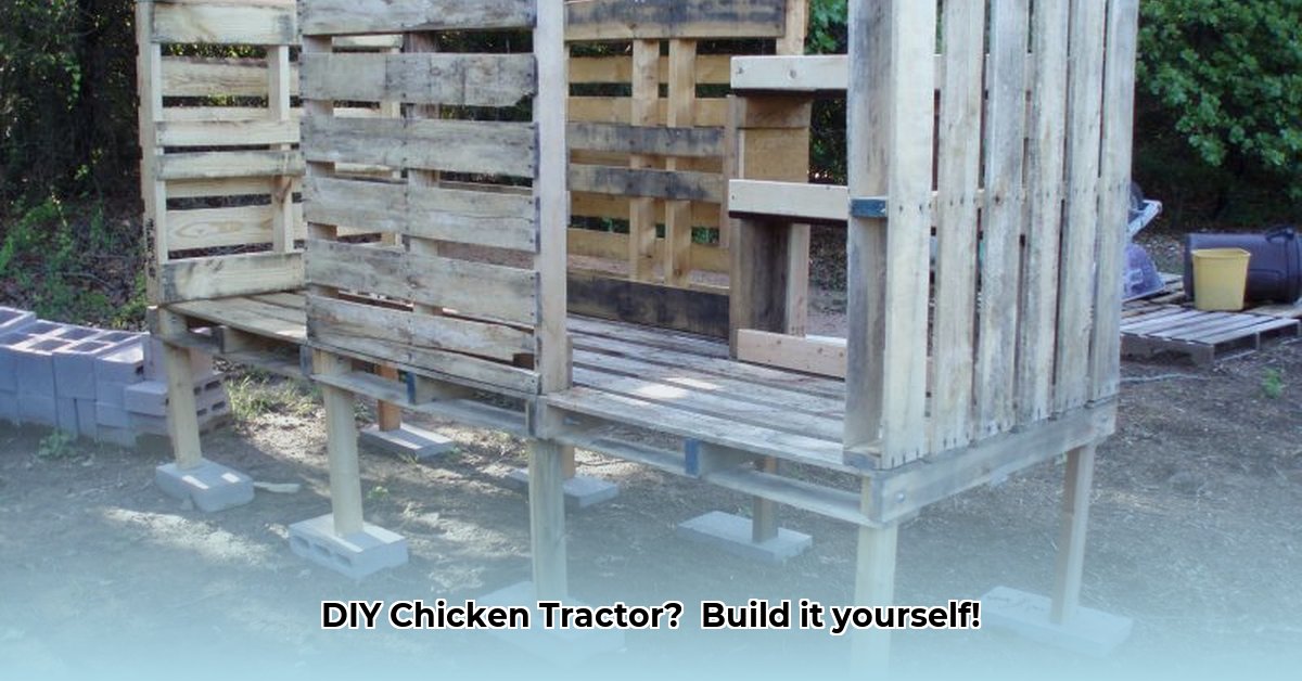 chicken-tractor-pallets